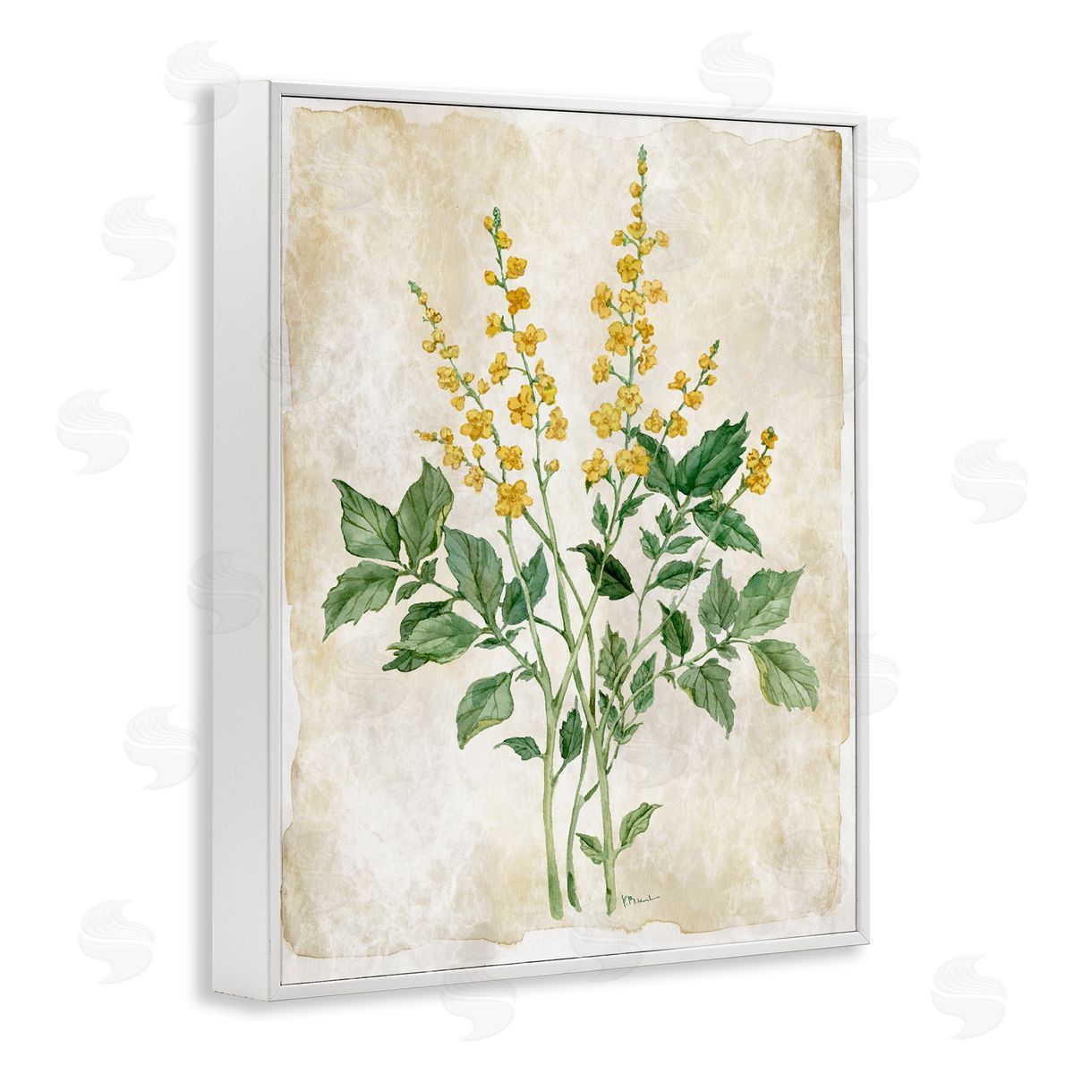 Paul Brent Floral Journal Page Canvas Wall Art Print