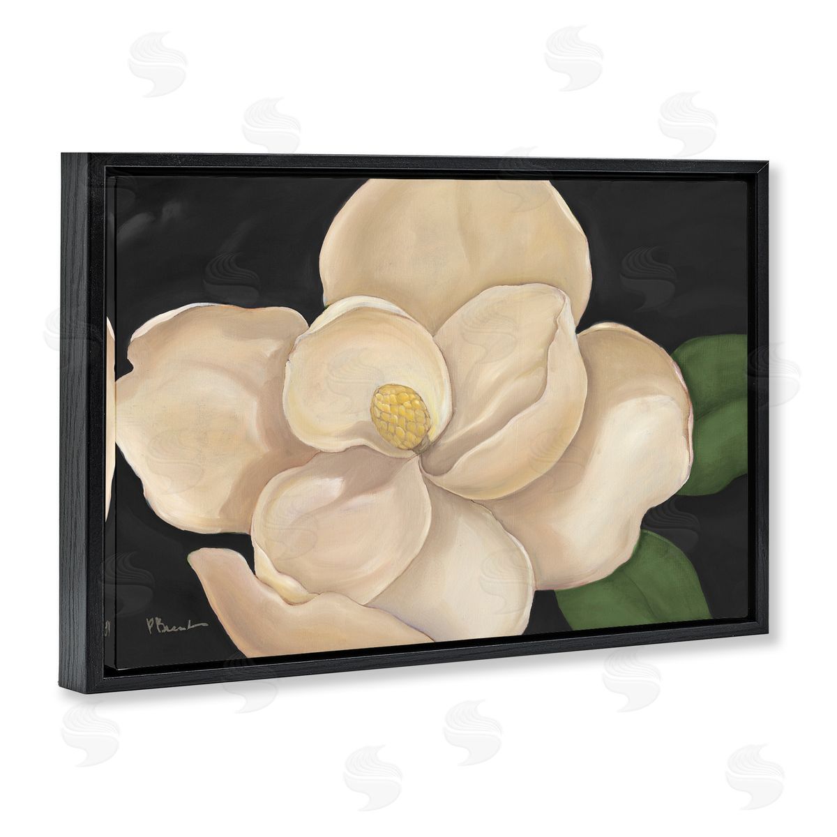 Paul Brent Magnolia Grandiflora on Black Canvas Wall Art Print