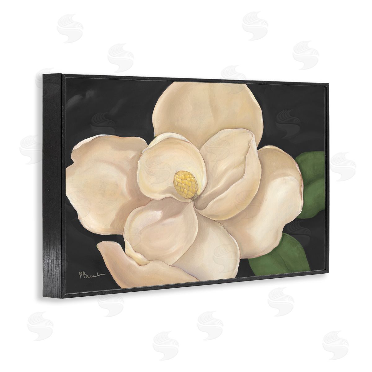 Paul Brent Magnolia Grandiflora on Black Canvas Wall Art Print