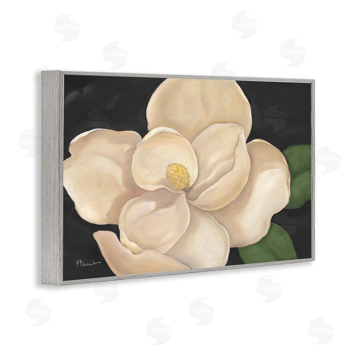 Paul Brent Magnolia Grandiflora on Black Canvas Wall Art Print