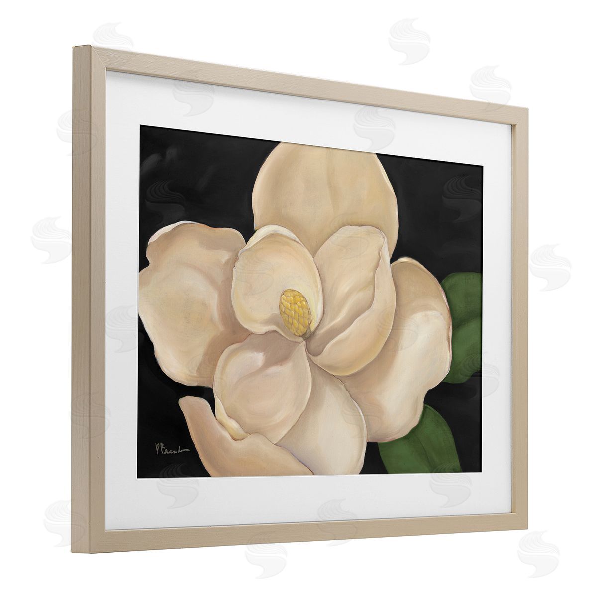 Paul Brent Magnolia Grandiflora on Black Canvas Wall Art Print