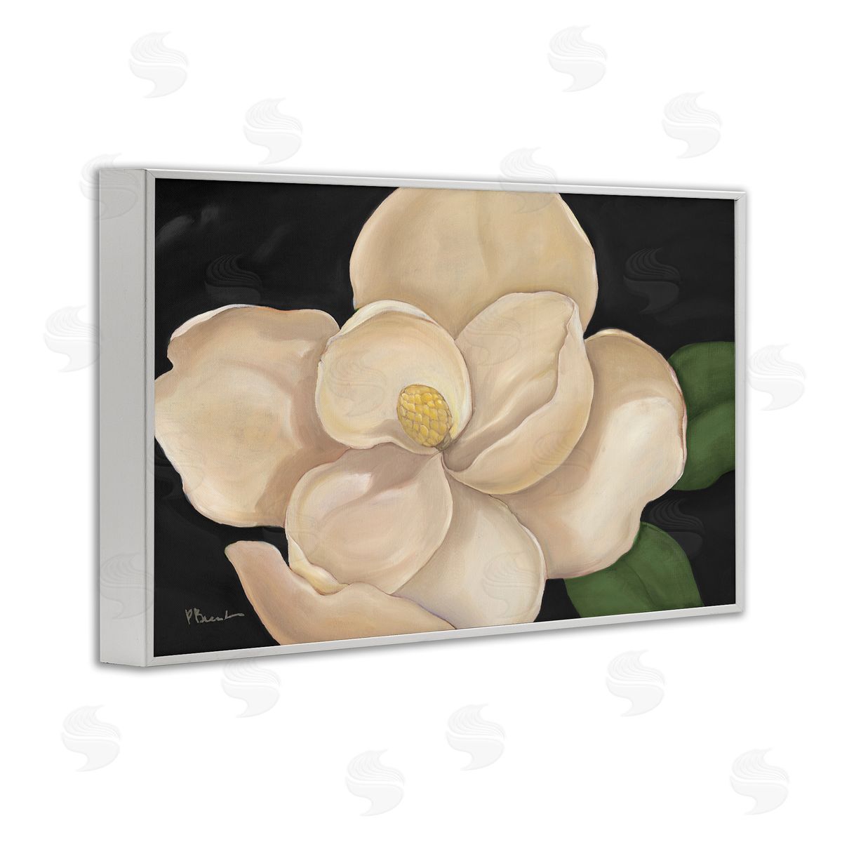 Paul Brent Magnolia Grandiflora on Black Canvas Wall Art Print