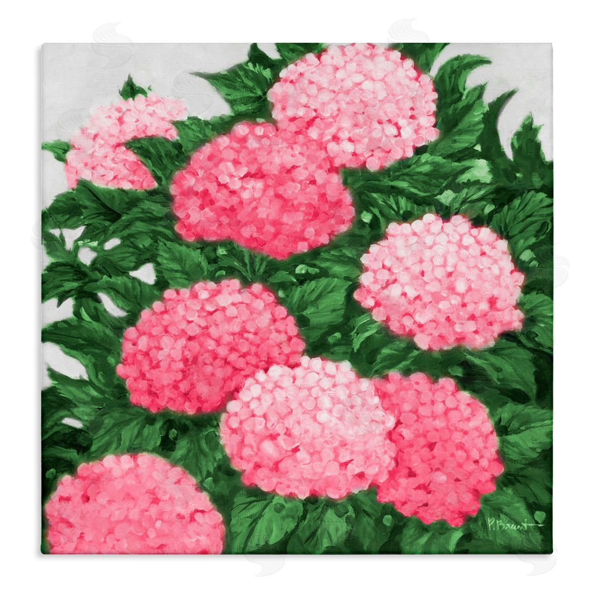 Paul Brent Pink Hydrangea Impressions Canvas Wall Art Print