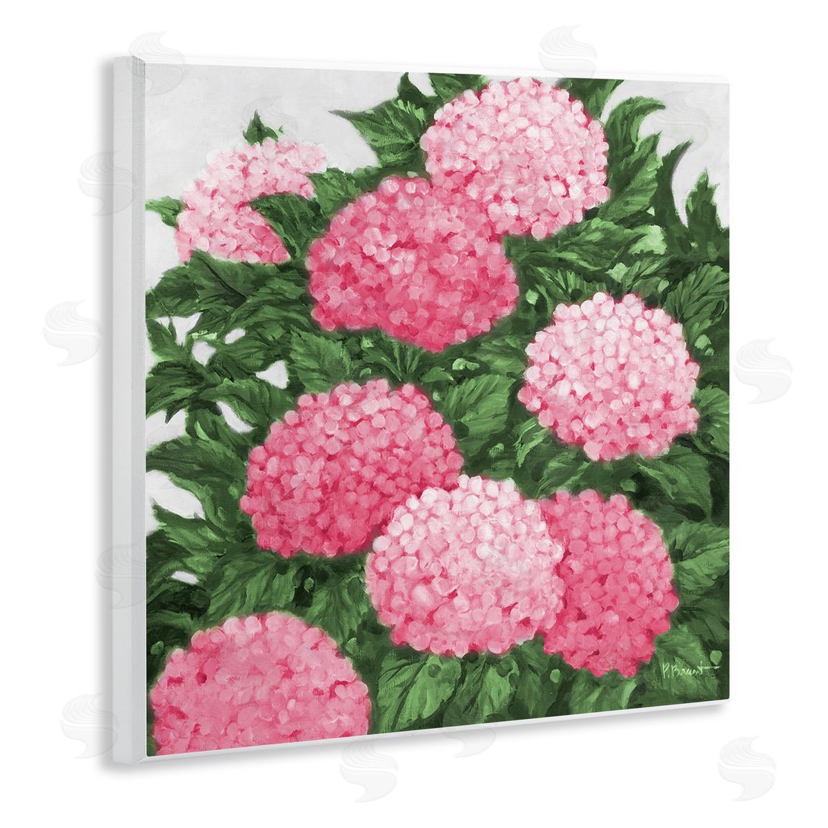 Paul Brent Pink Hydrangea Impressions Canvas Wall Art Print