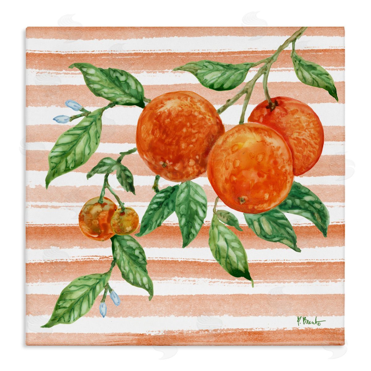 Paul Brent Bright Juicy Orange Vine Canvas Wall Art Print