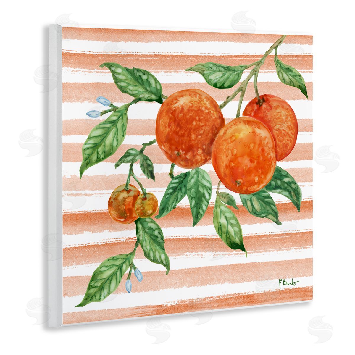 Paul Brent Bright Juicy Orange Vine Canvas Wall Art Print