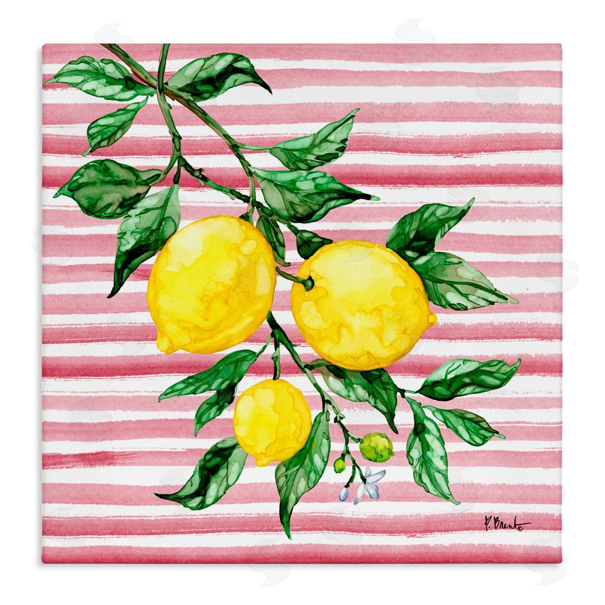 Paul Brent Juicy Lemon Vine on Pink Canvas Wall Art Print