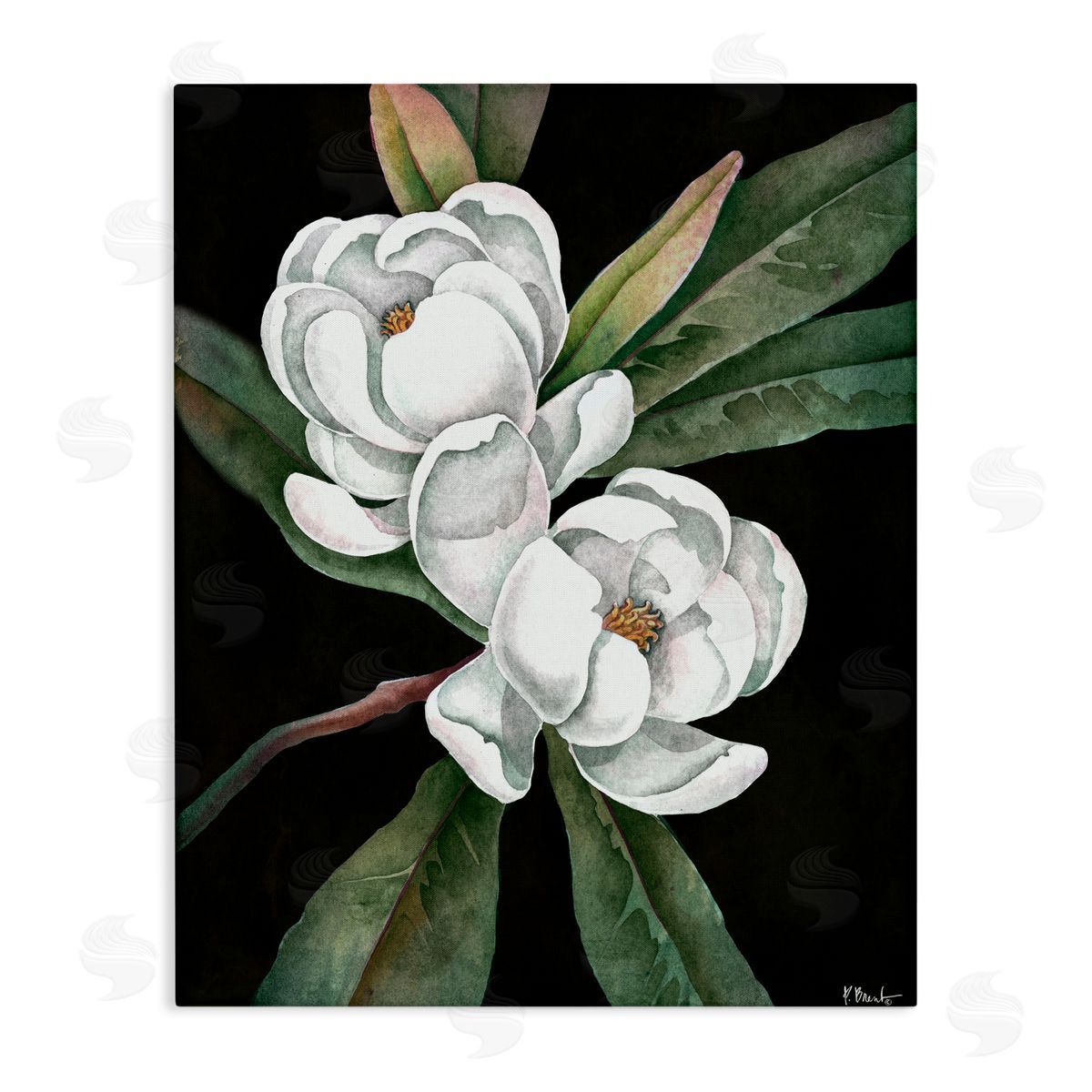 Paul Brent Vintage Bay Magnolia Canvas Wall Art Print