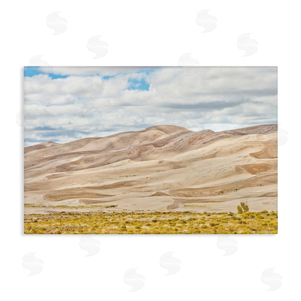 Seven Trees Design Dunes In The Distance Canvas Wall Art Print