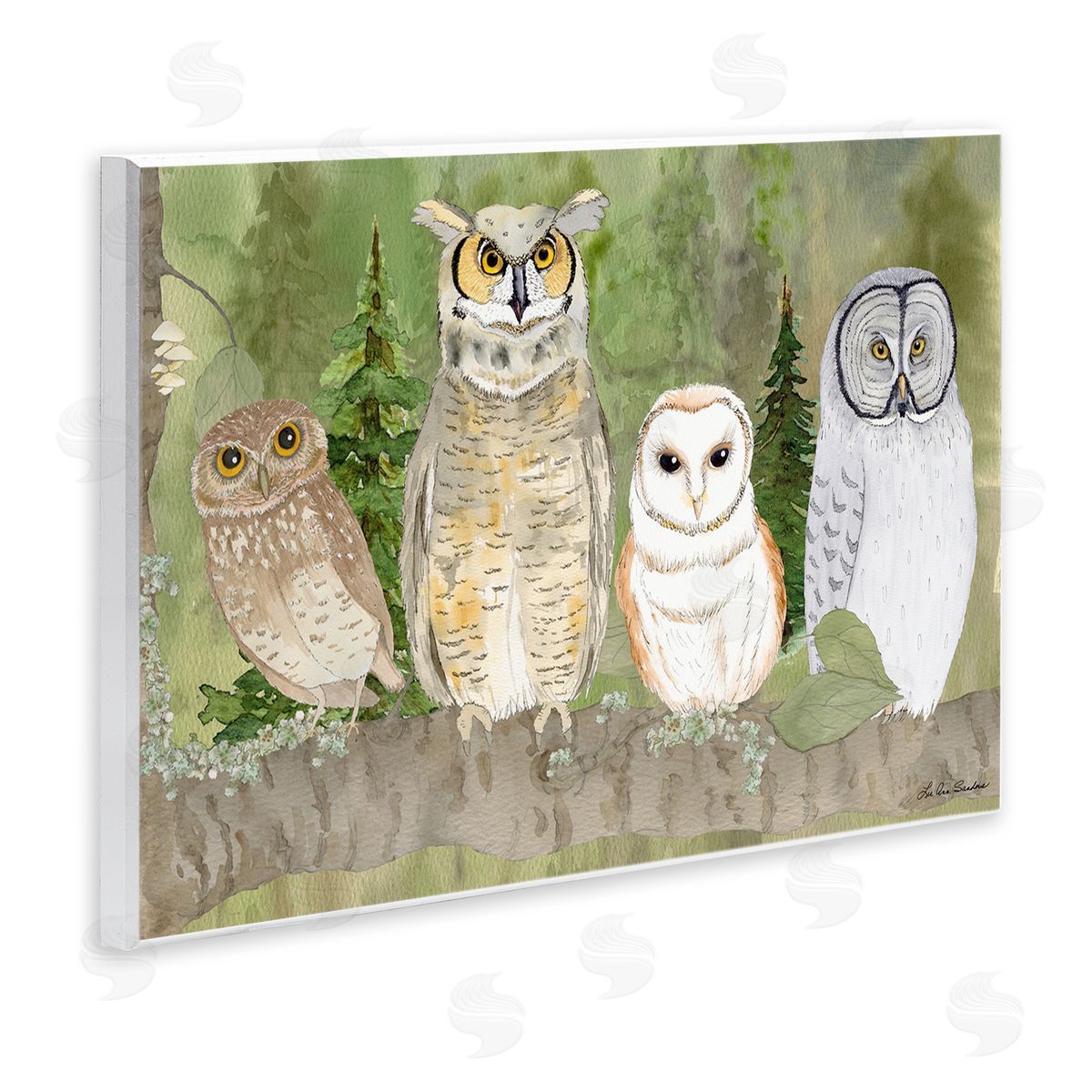 Lee Ann Sanders Forest Owls on Perch Canvas Wall Art Print