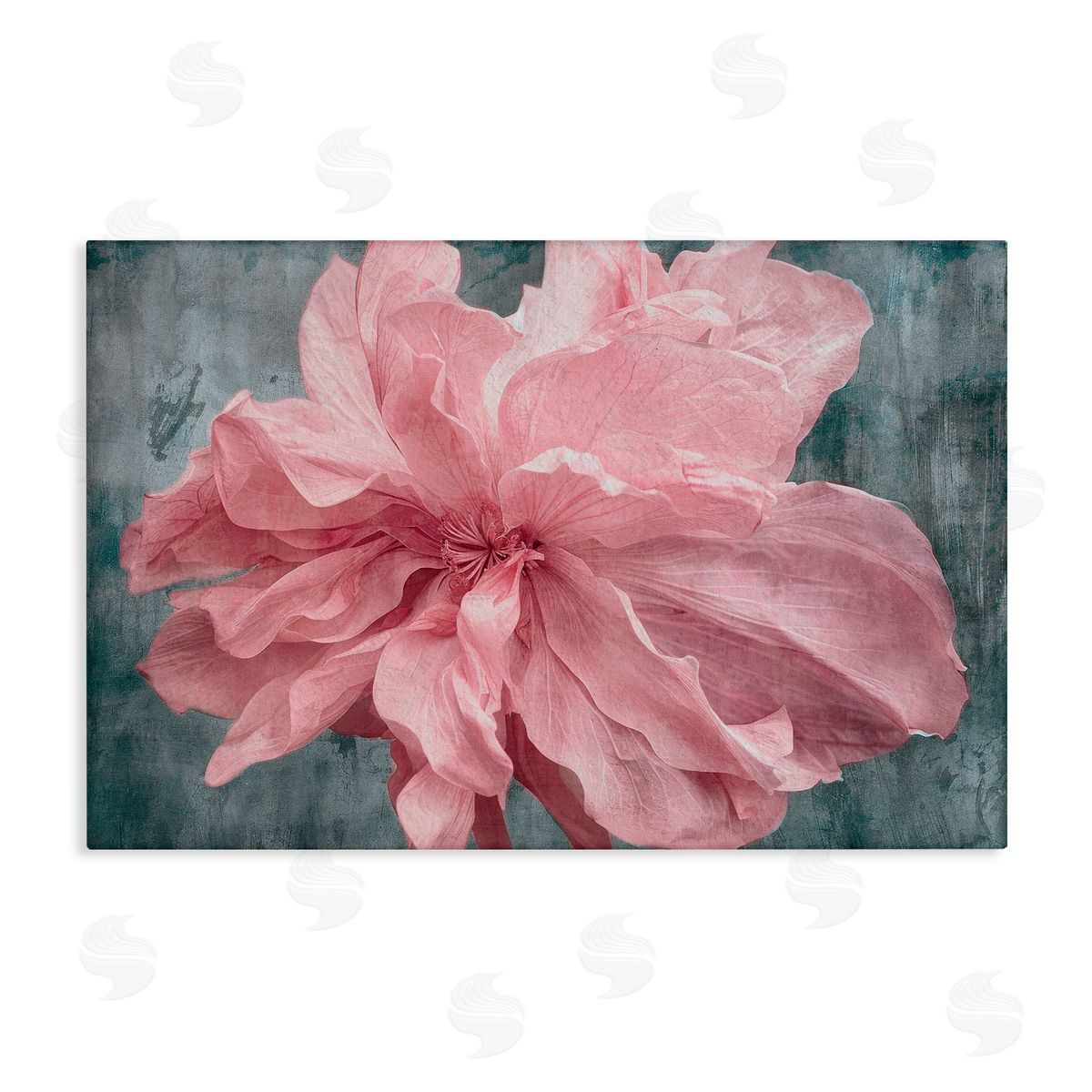 Shirley G. Flower with Wavy Petals Canvas Wall Art Print