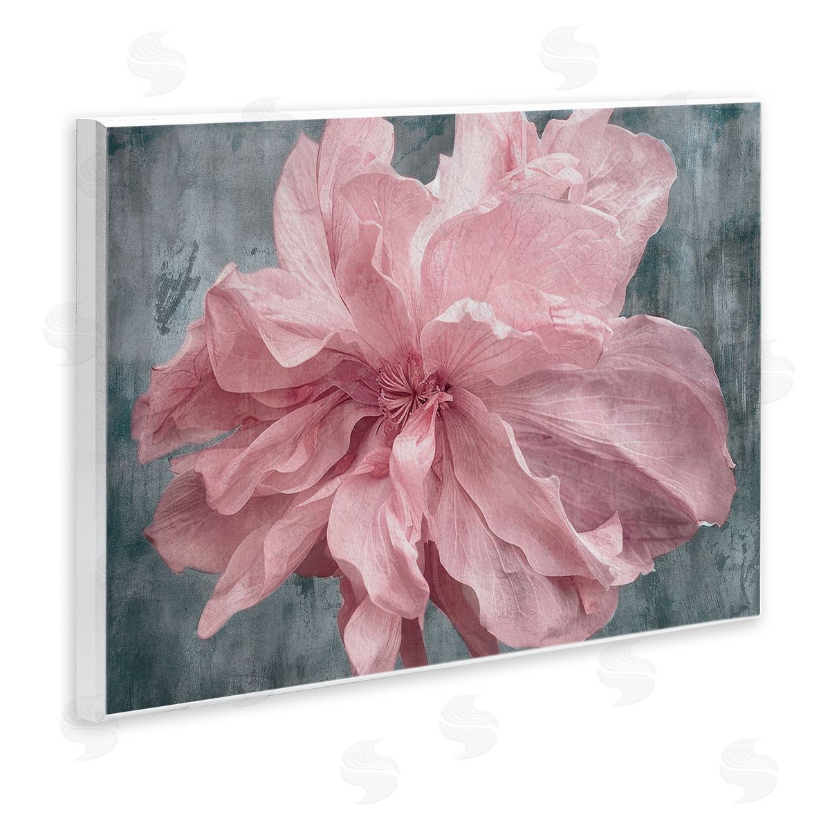 Shirley G. Flower with Wavy Petals Canvas Wall Art Print