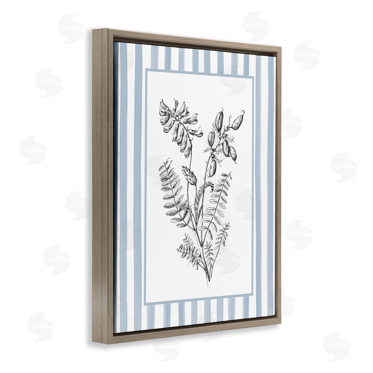 Lettered and Lined Herbs with Striped Border Canvas Wall Art Print