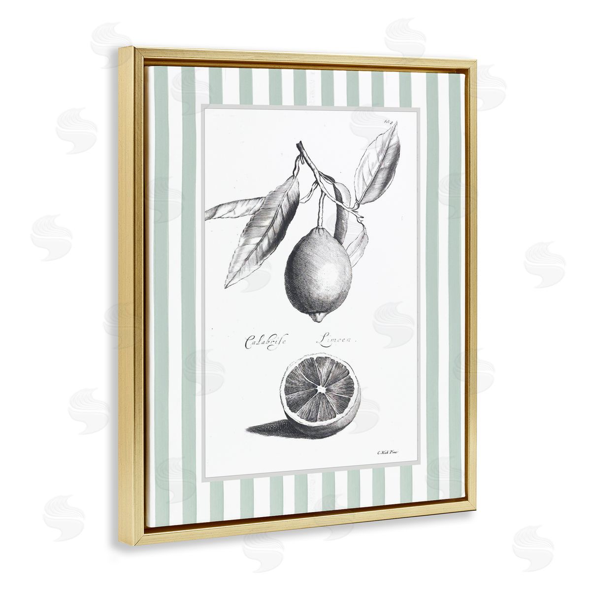 Lettered and Lined Vintage Citrus Striped Border Canvas Wall Art Print