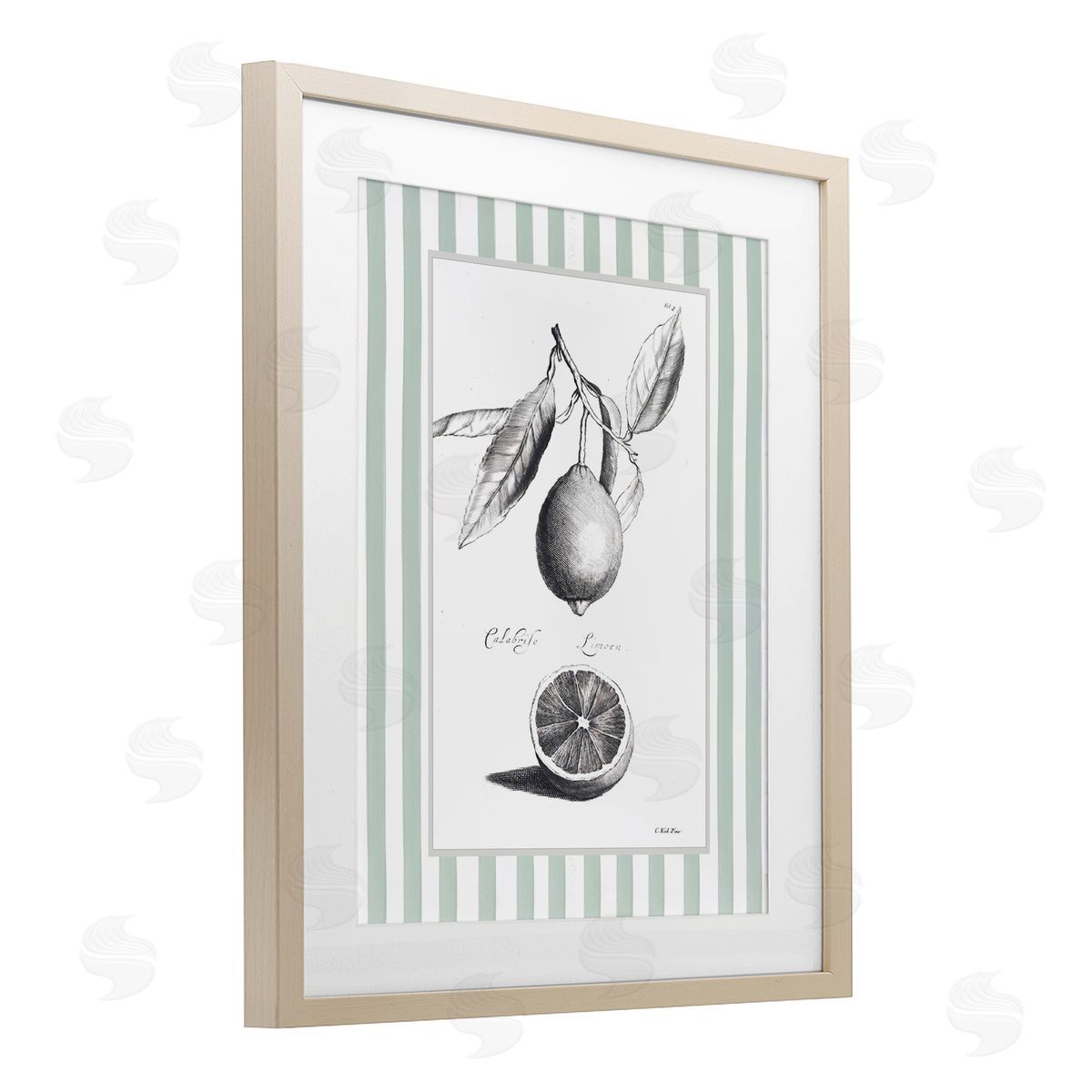 Lettered and Lined Vintage Citrus Striped Border Canvas Wall Art Print