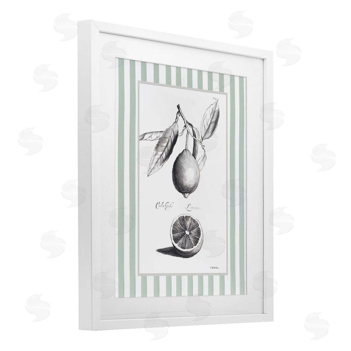 Lettered and Lined Vintage Citrus Striped Border Canvas Wall Art Print