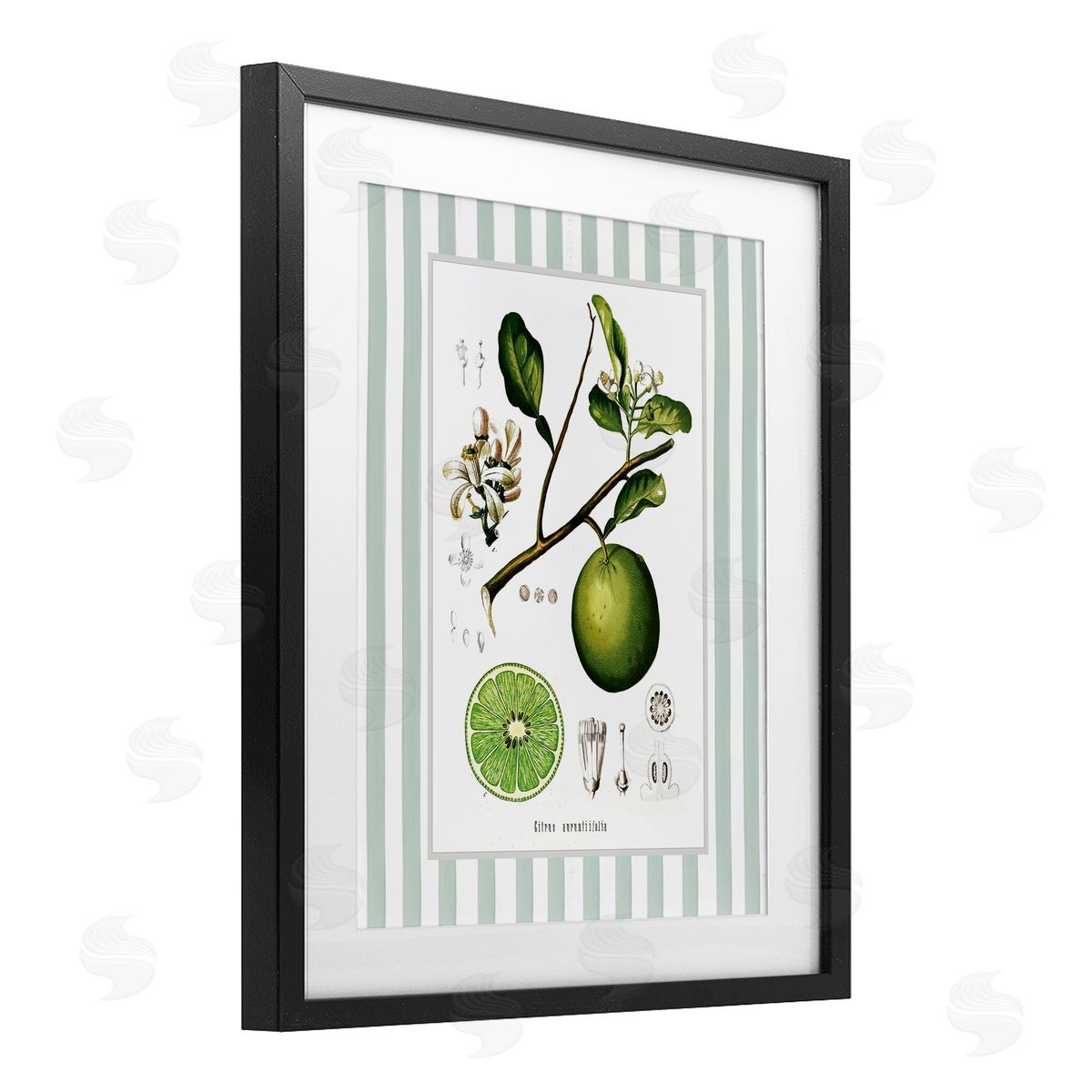 Lettered and Lined Vintage Lime Green Stripes Canvas Wall Art Print