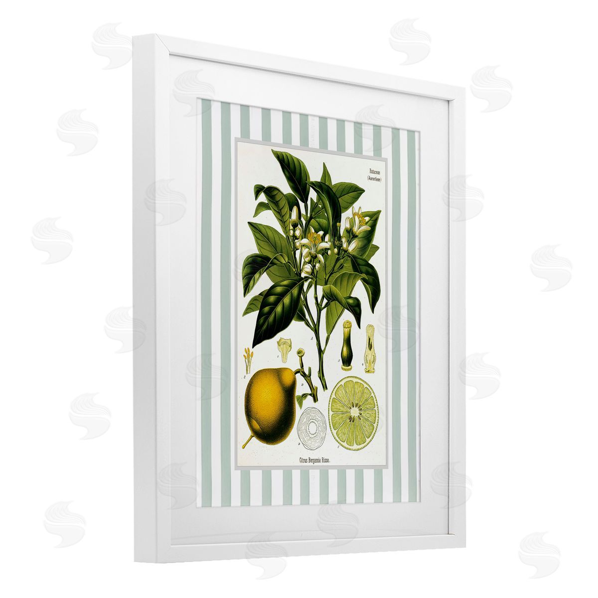Lettered and Lined Lemon Plant Green Stripes Canvas Wall Art Print