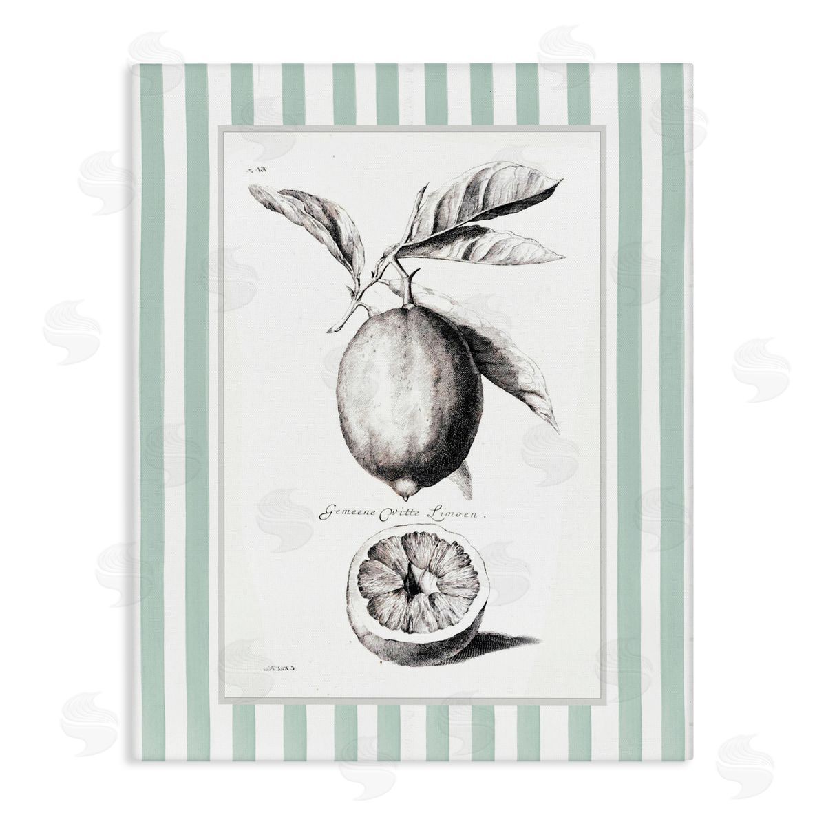 Lettered and Lined Vintage Citrus Green Stripes Canvas Wall Art Print