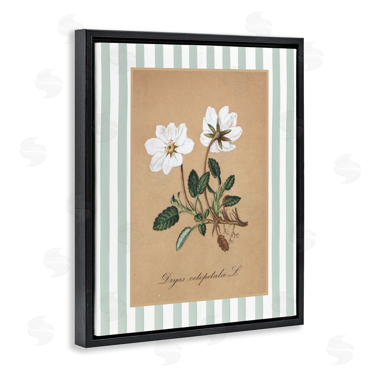 Lettered and Lined White Flower Green Stripes Canvas Wall Art Print
