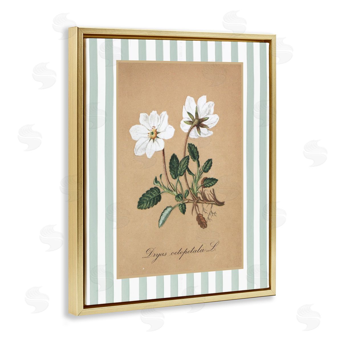 Lettered and Lined White Flower Green Stripes Canvas Wall Art Print