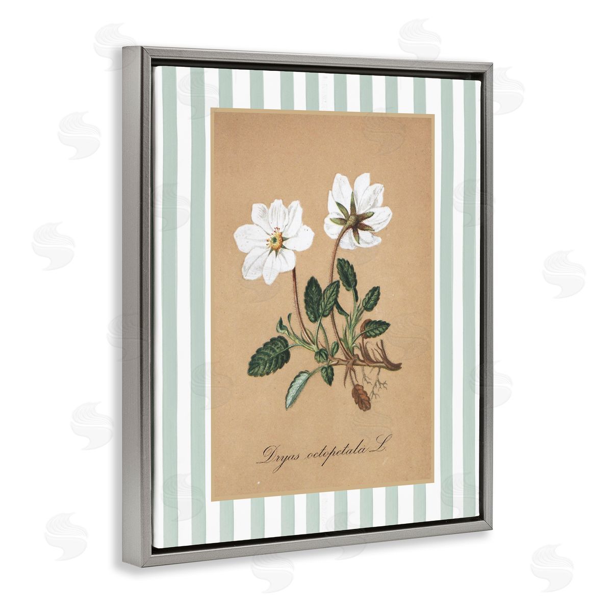 Lettered and Lined White Flower Green Stripes Canvas Wall Art Print