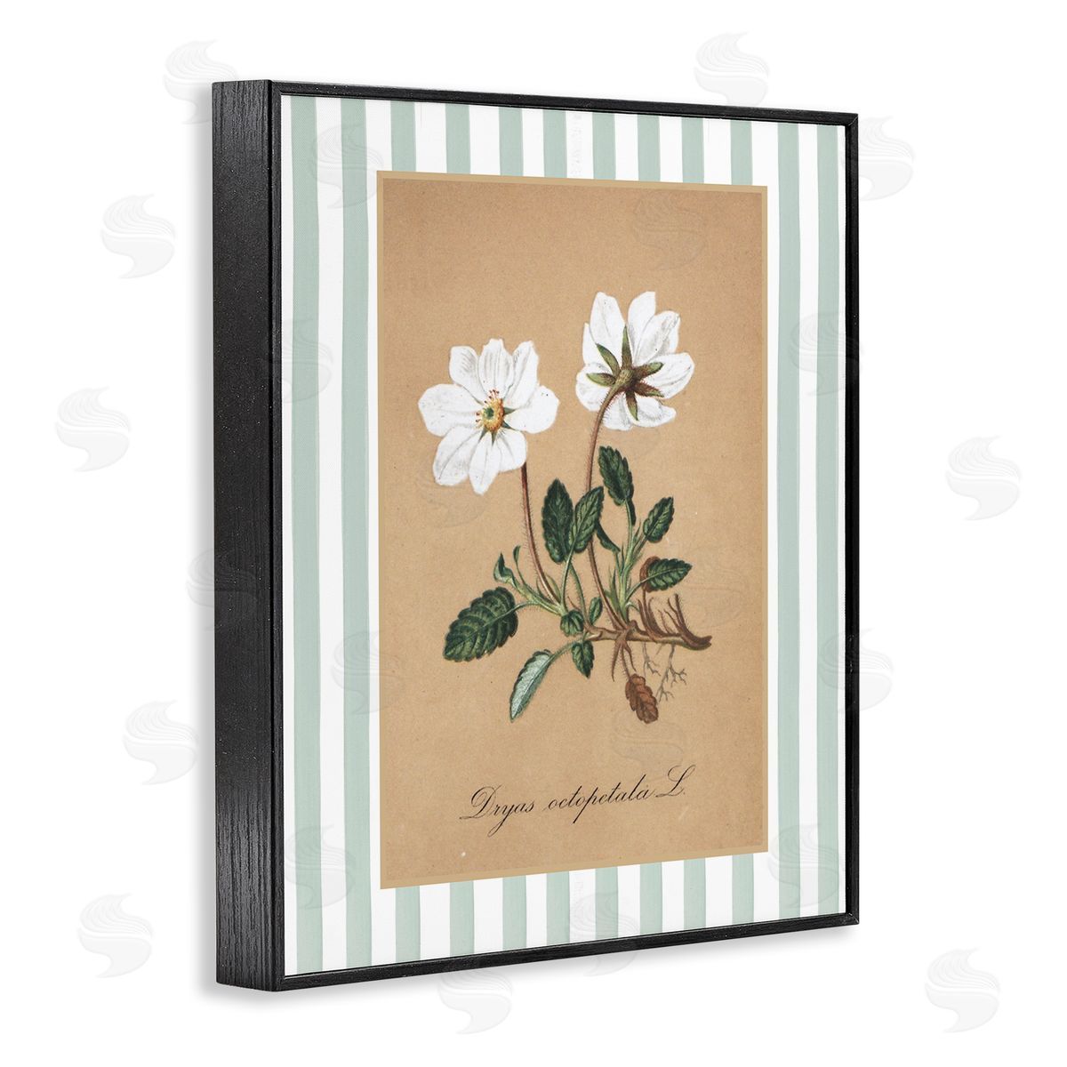 Lettered and Lined White Flower Green Stripes Canvas Wall Art Print