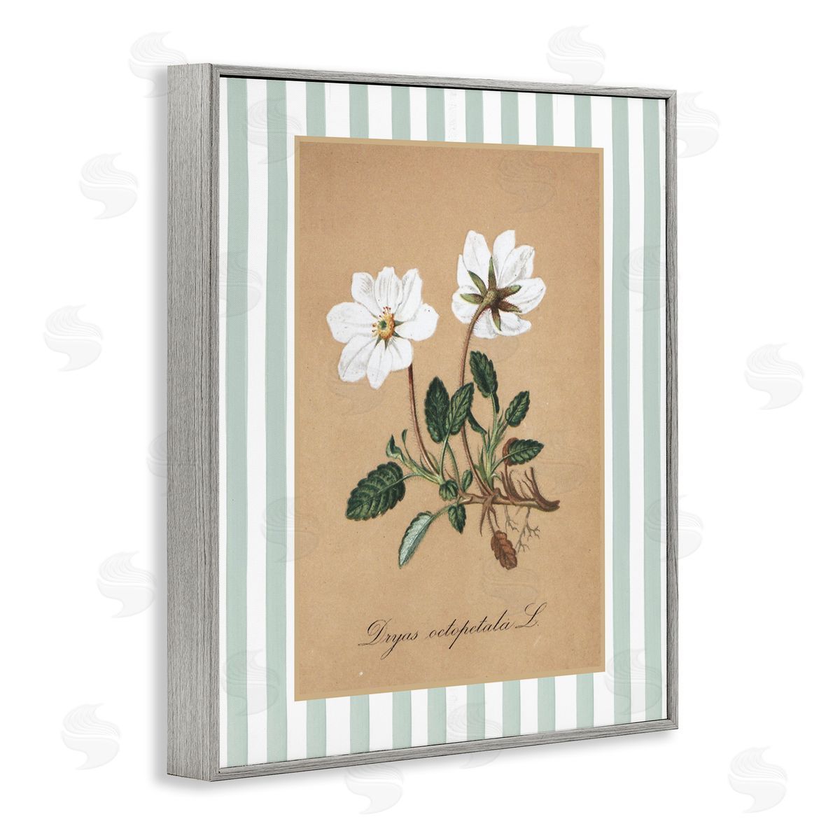 Lettered and Lined White Flower Green Stripes Canvas Wall Art Print