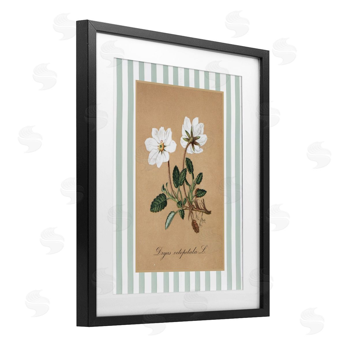 Lettered and Lined White Flower Green Stripes Canvas Wall Art Print