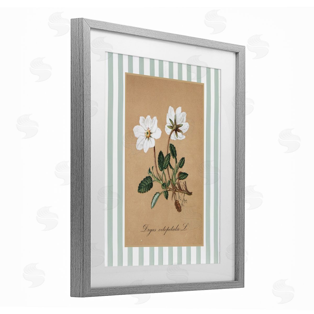 Lettered and Lined White Flower Green Stripes Canvas Wall Art Print