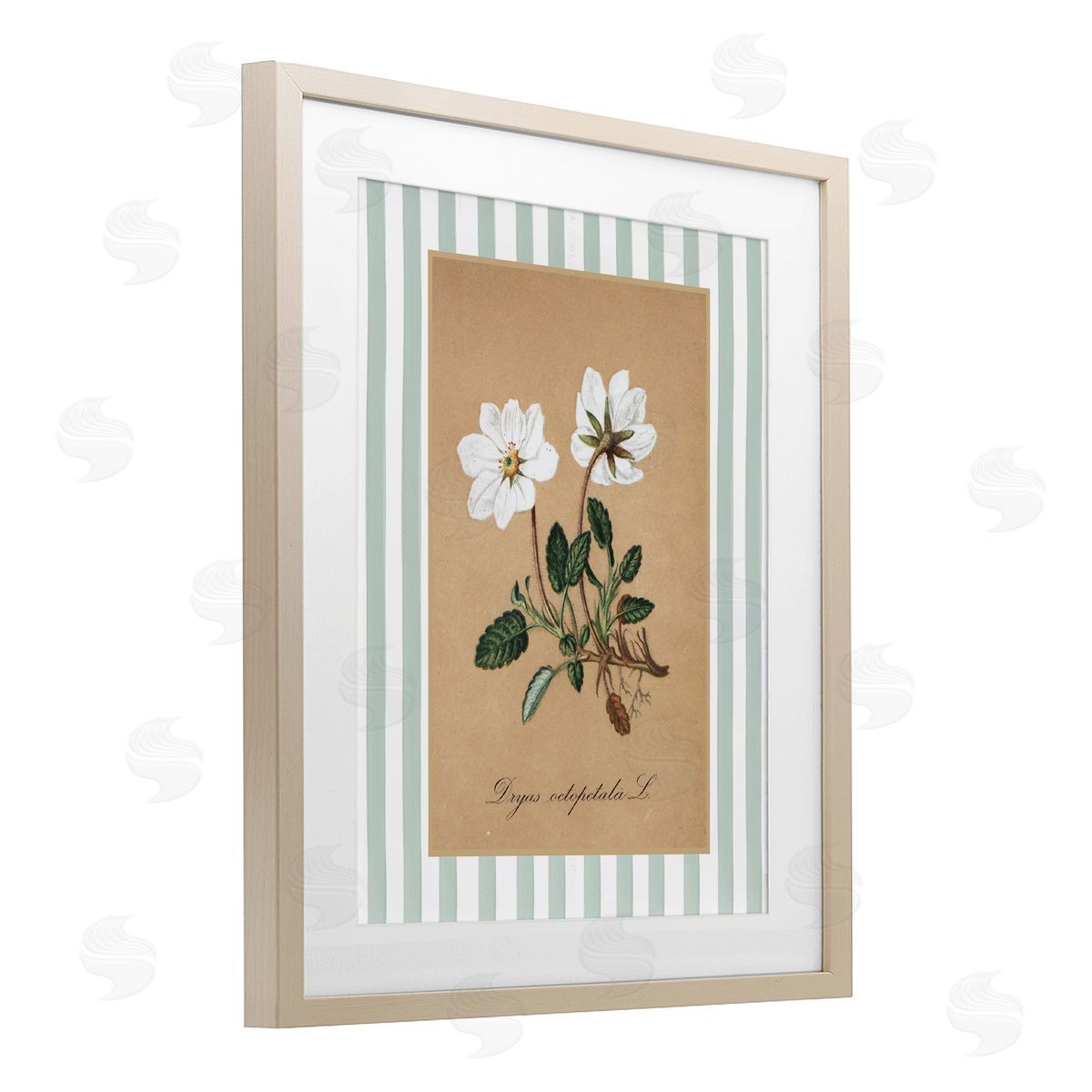 Lettered and Lined White Flower Green Stripes Canvas Wall Art Print