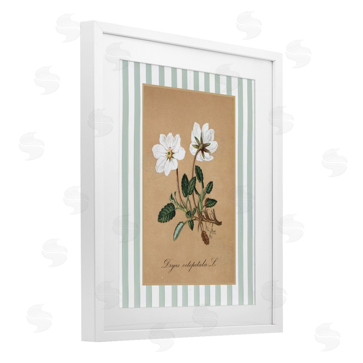 Lettered and Lined White Flower Green Stripes Canvas Wall Art Print