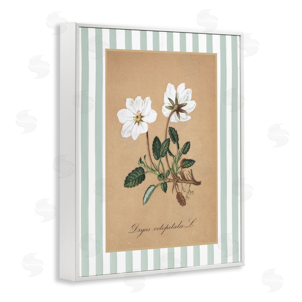 Lettered and Lined White Flower Green Stripes Canvas Wall Art Print