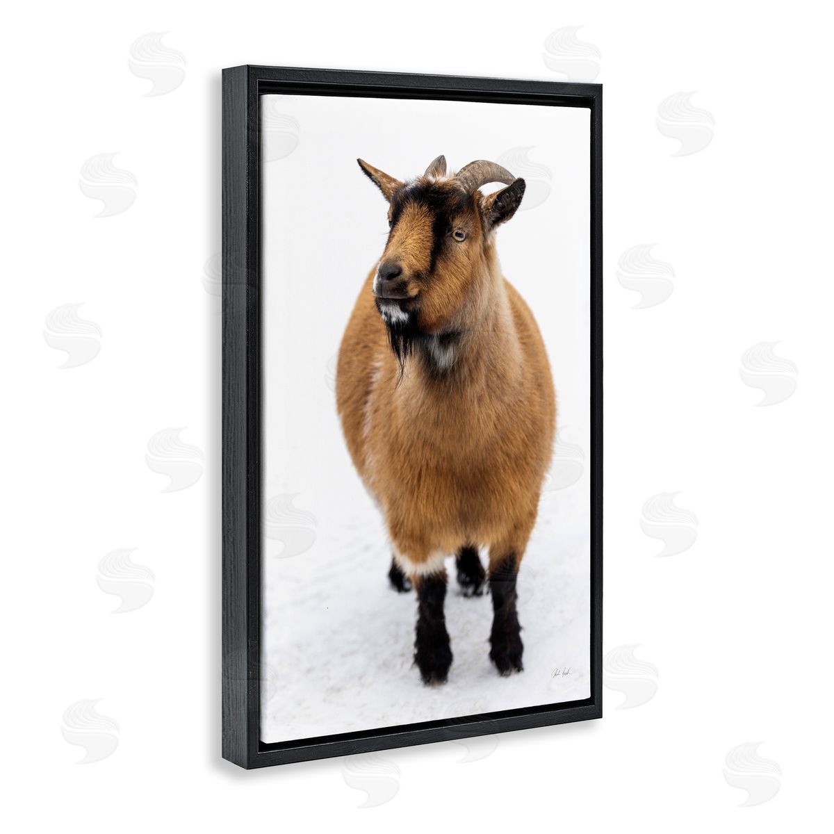 Deborah Revell Brown Little Goat Canvas Wall Art Print