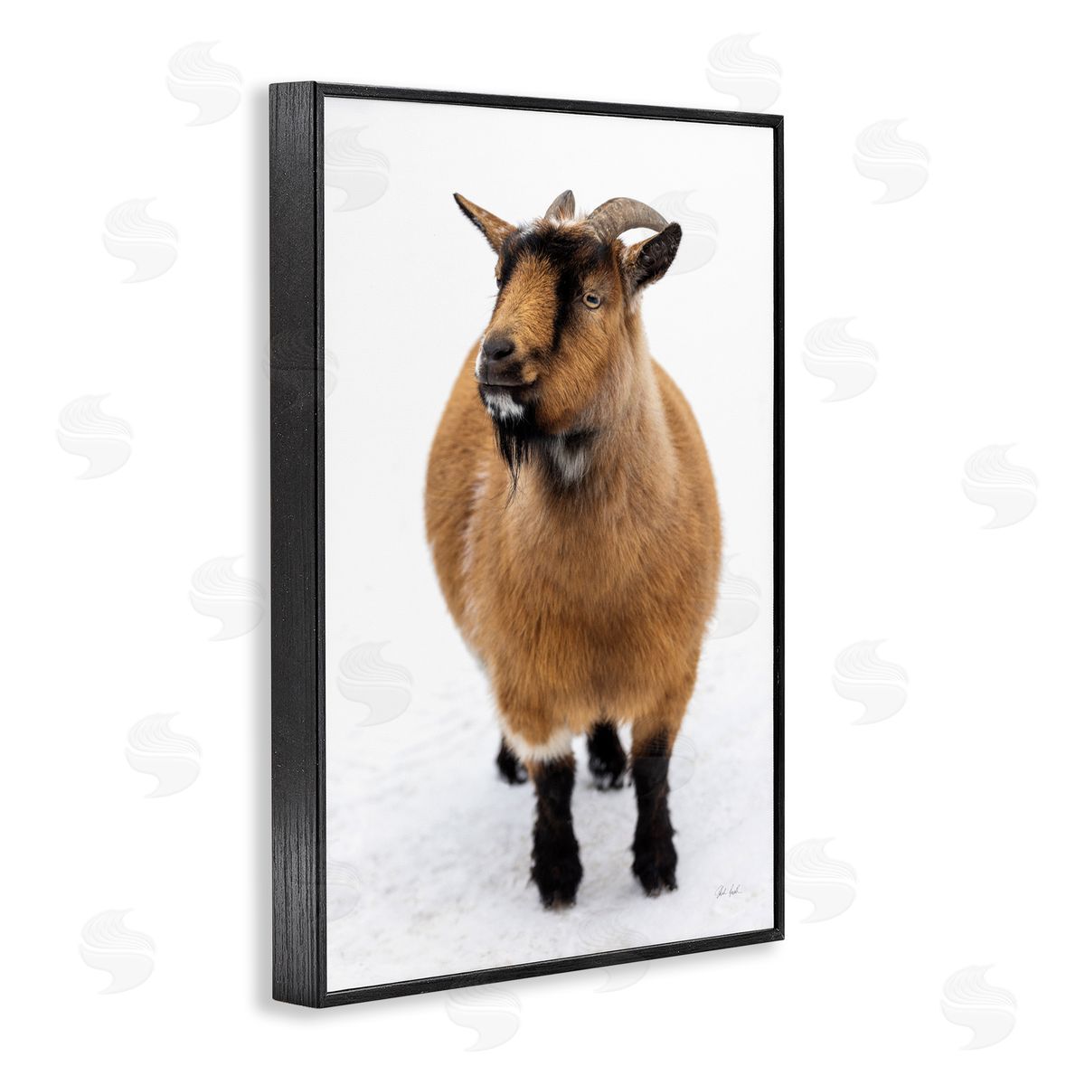 Deborah Revell Brown Little Goat Canvas Wall Art Print