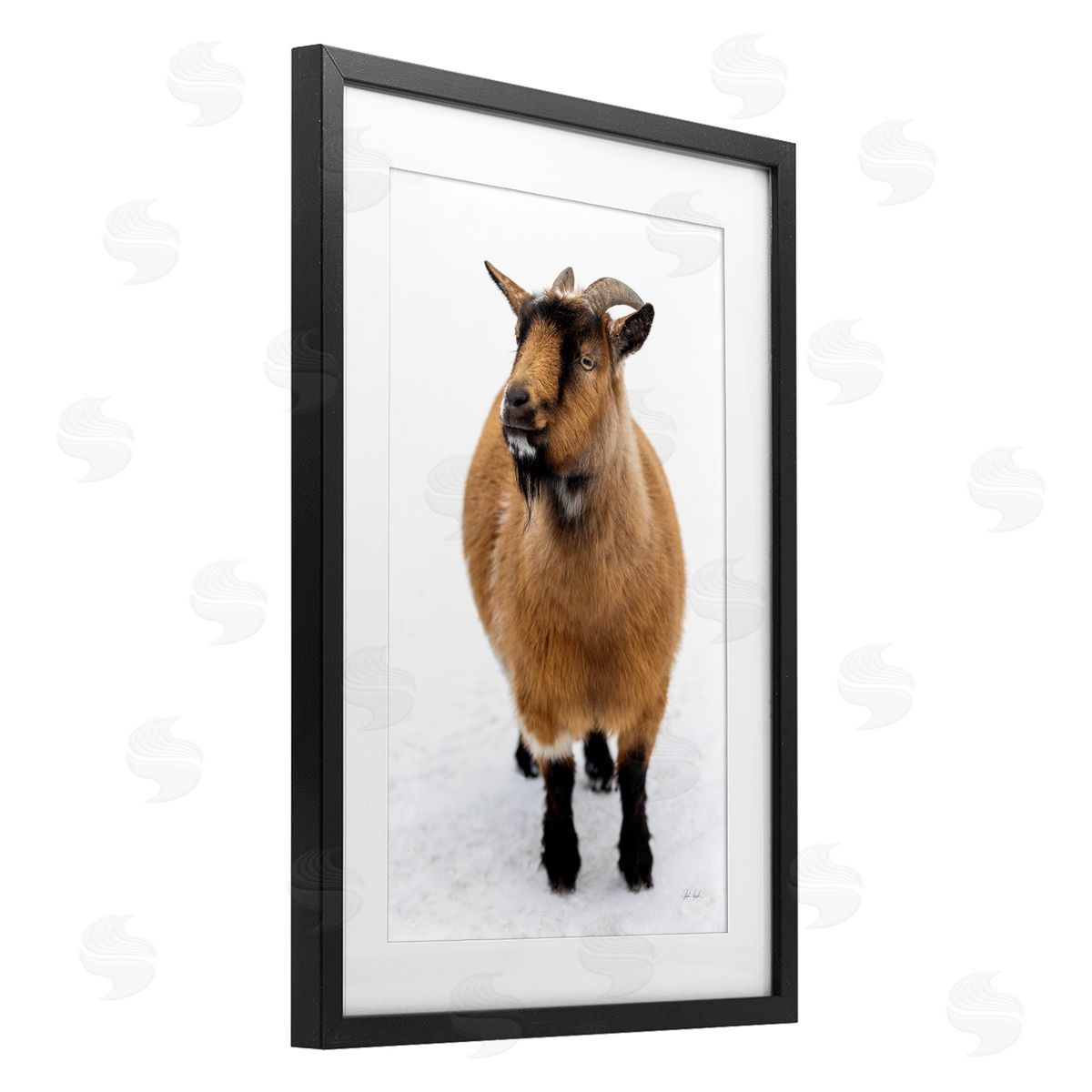 Deborah Revell Brown Little Goat Canvas Wall Art Print