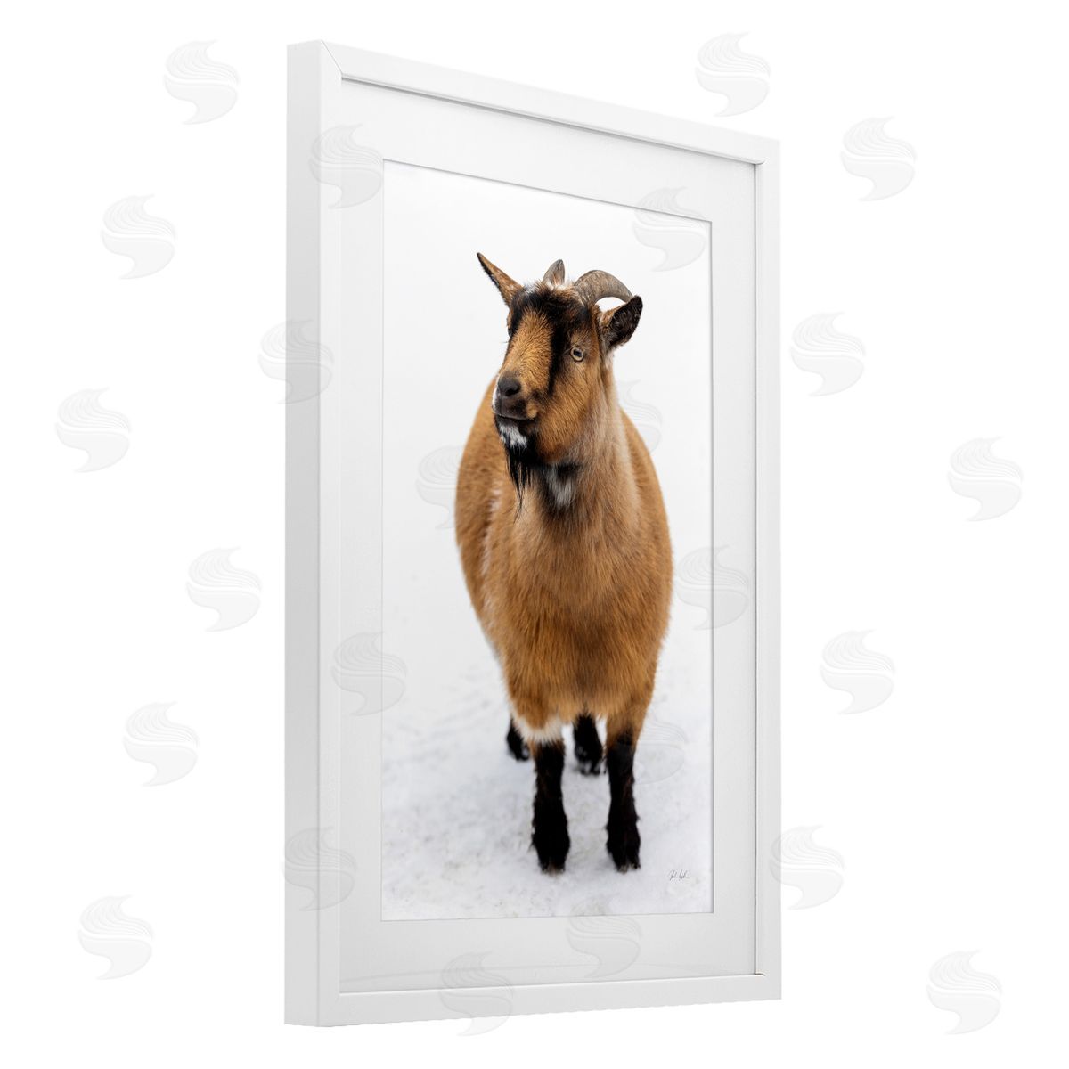 Deborah Revell Brown Little Goat Canvas Wall Art Print