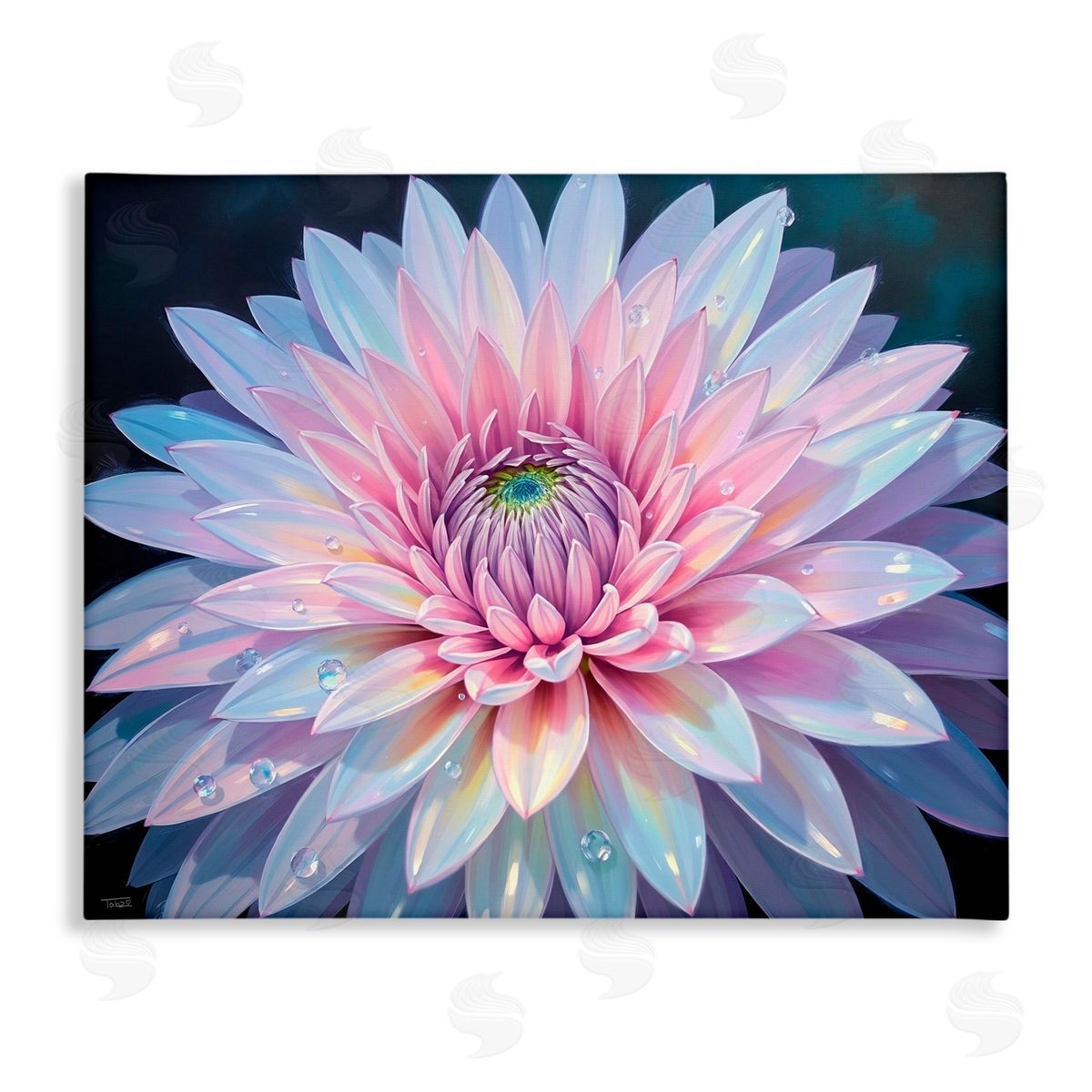 Tabz Jones Dew Kissed Pink Chrysanthemum Canvas Wall Art Print