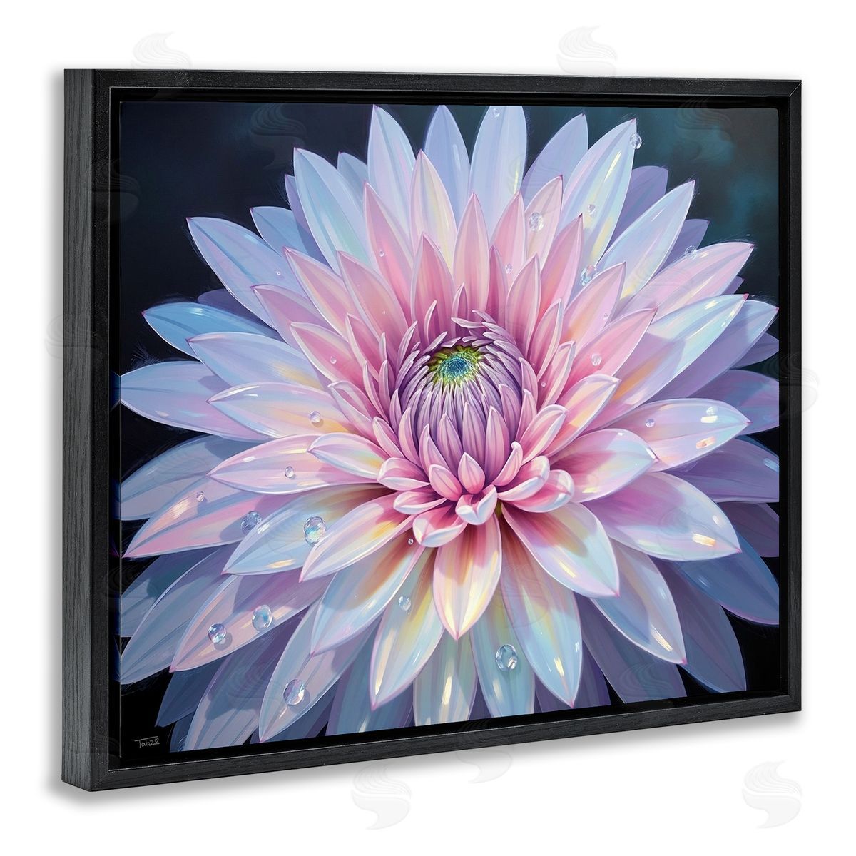 Tabz Jones Dew Kissed Pink Chrysanthemum Canvas Wall Art Print