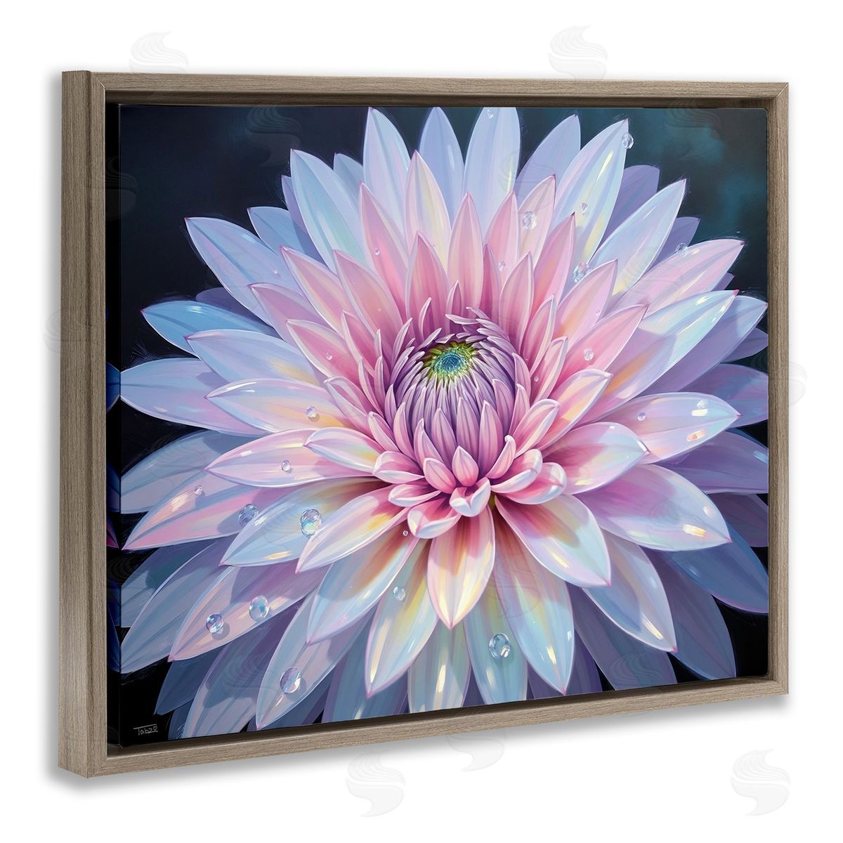 Tabz Jones Dew Kissed Pink Chrysanthemum Canvas Wall Art Print
