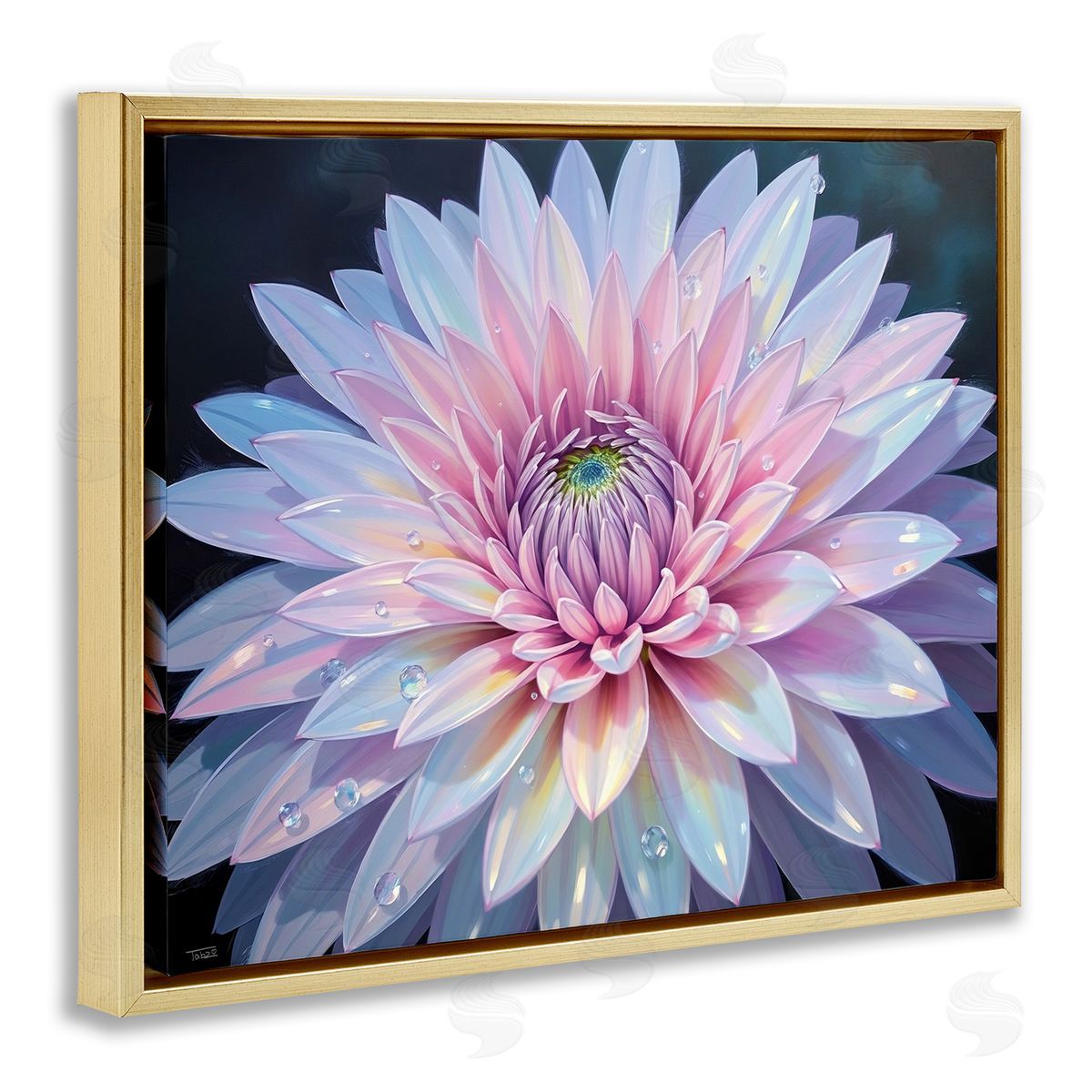Tabz Jones Dew Kissed Pink Chrysanthemum Canvas Wall Art Print