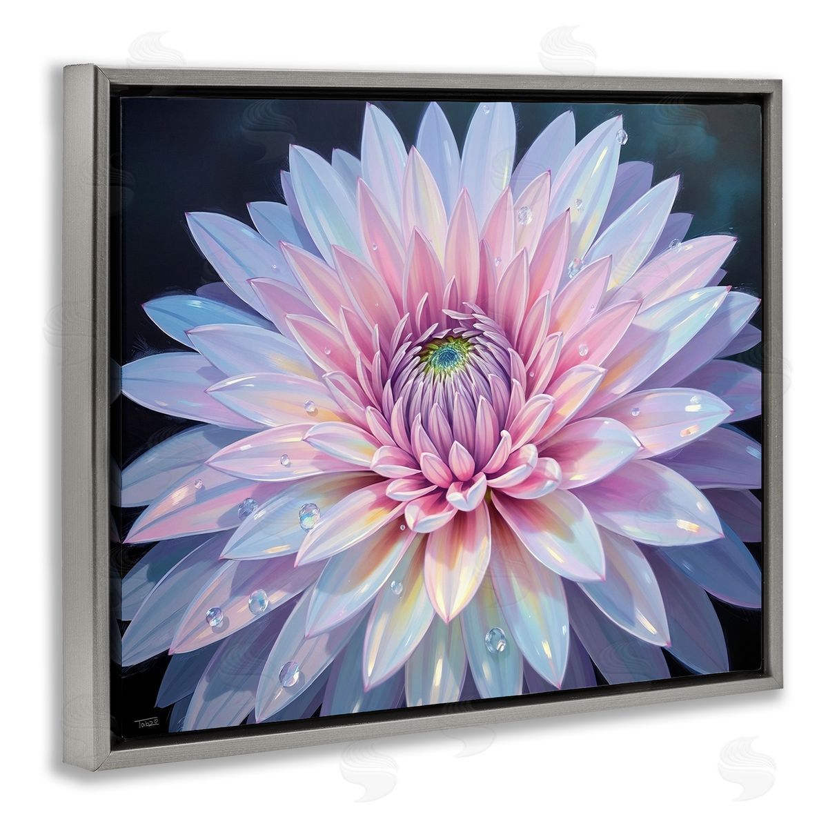 Tabz Jones Dew Kissed Pink Chrysanthemum Canvas Wall Art Print