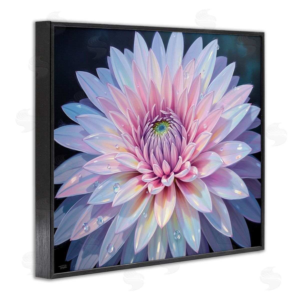 Tabz Jones Dew Kissed Pink Chrysanthemum Canvas Wall Art Print