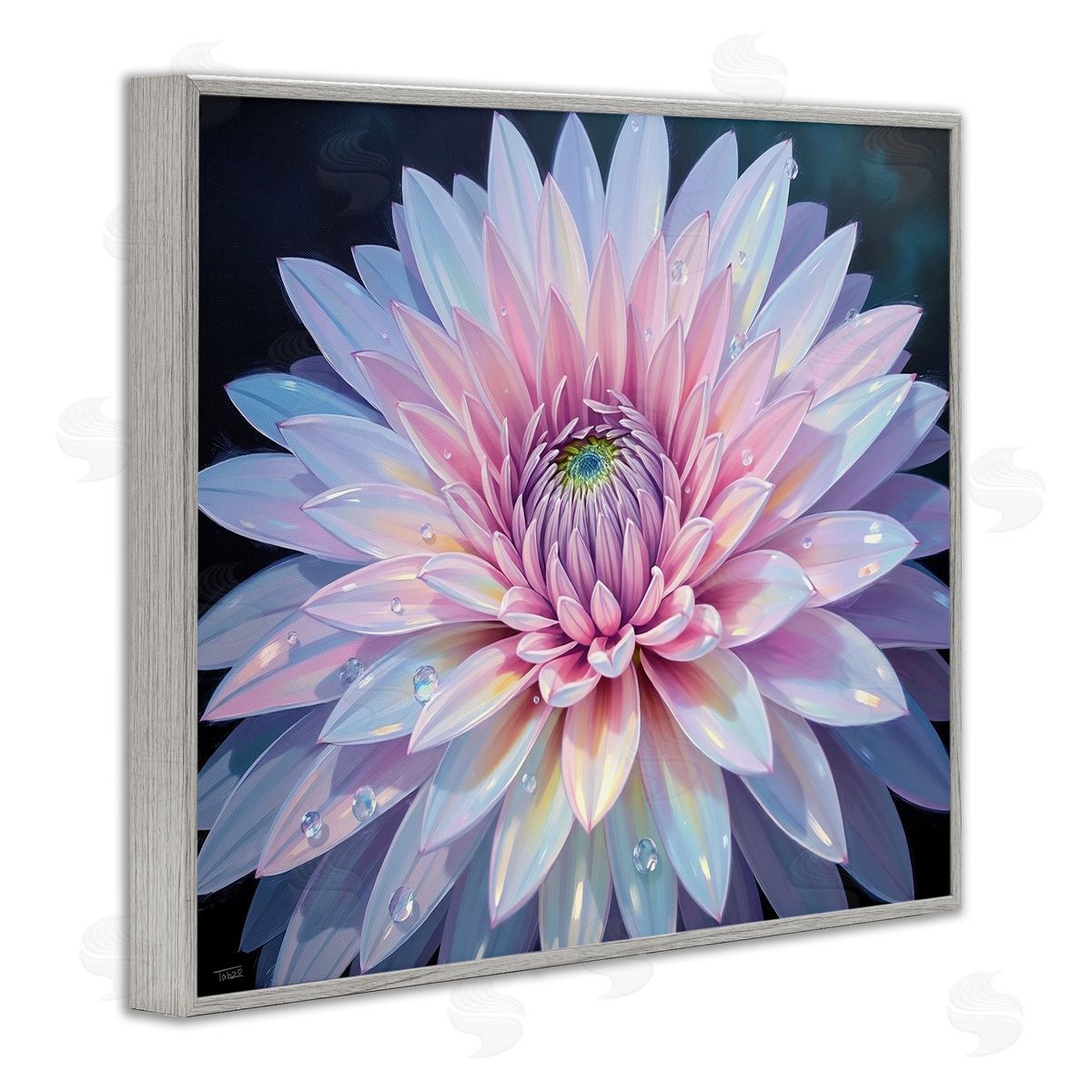 Tabz Jones Dew Kissed Pink Chrysanthemum Canvas Wall Art Print