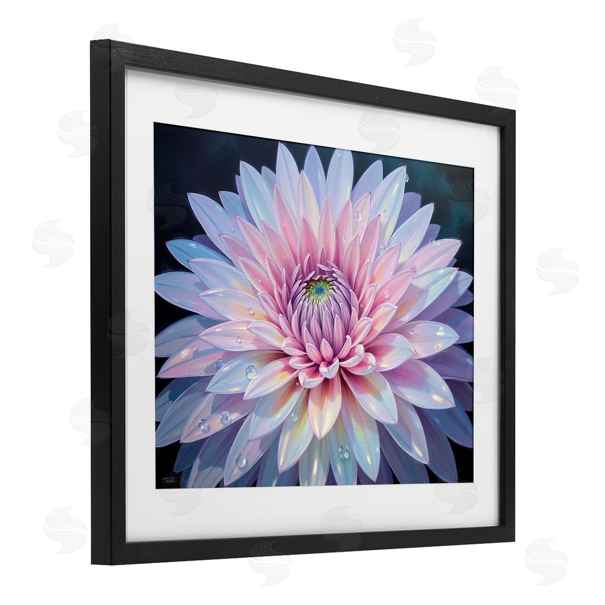 Tabz Jones Dew Kissed Pink Chrysanthemum Canvas Wall Art Print