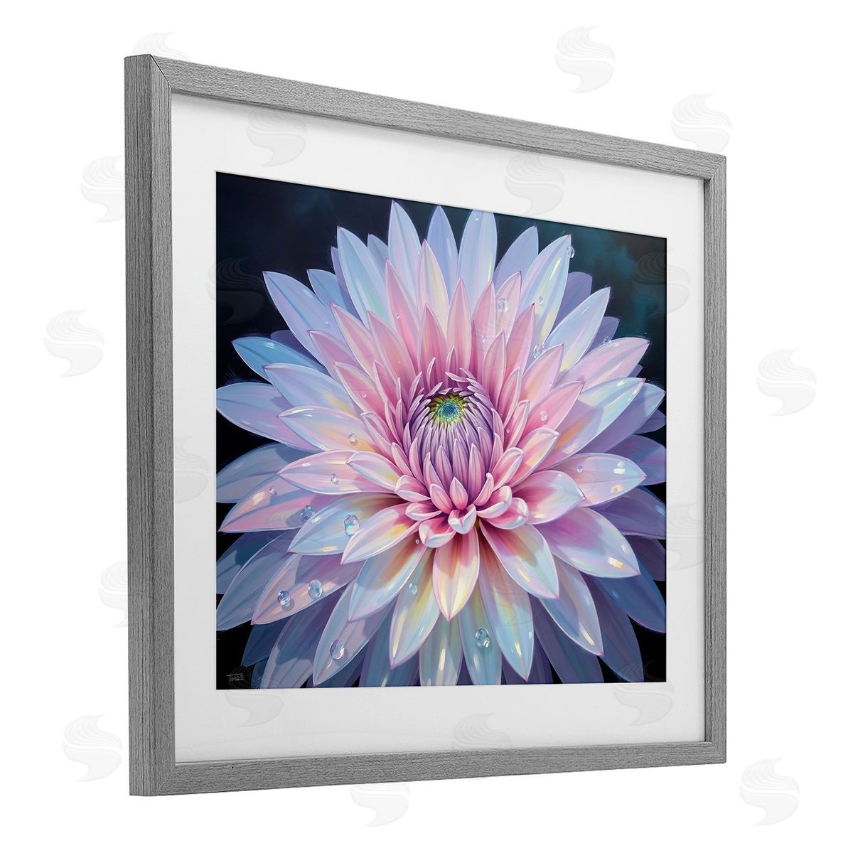 Tabz Jones Dew Kissed Pink Chrysanthemum Canvas Wall Art Print