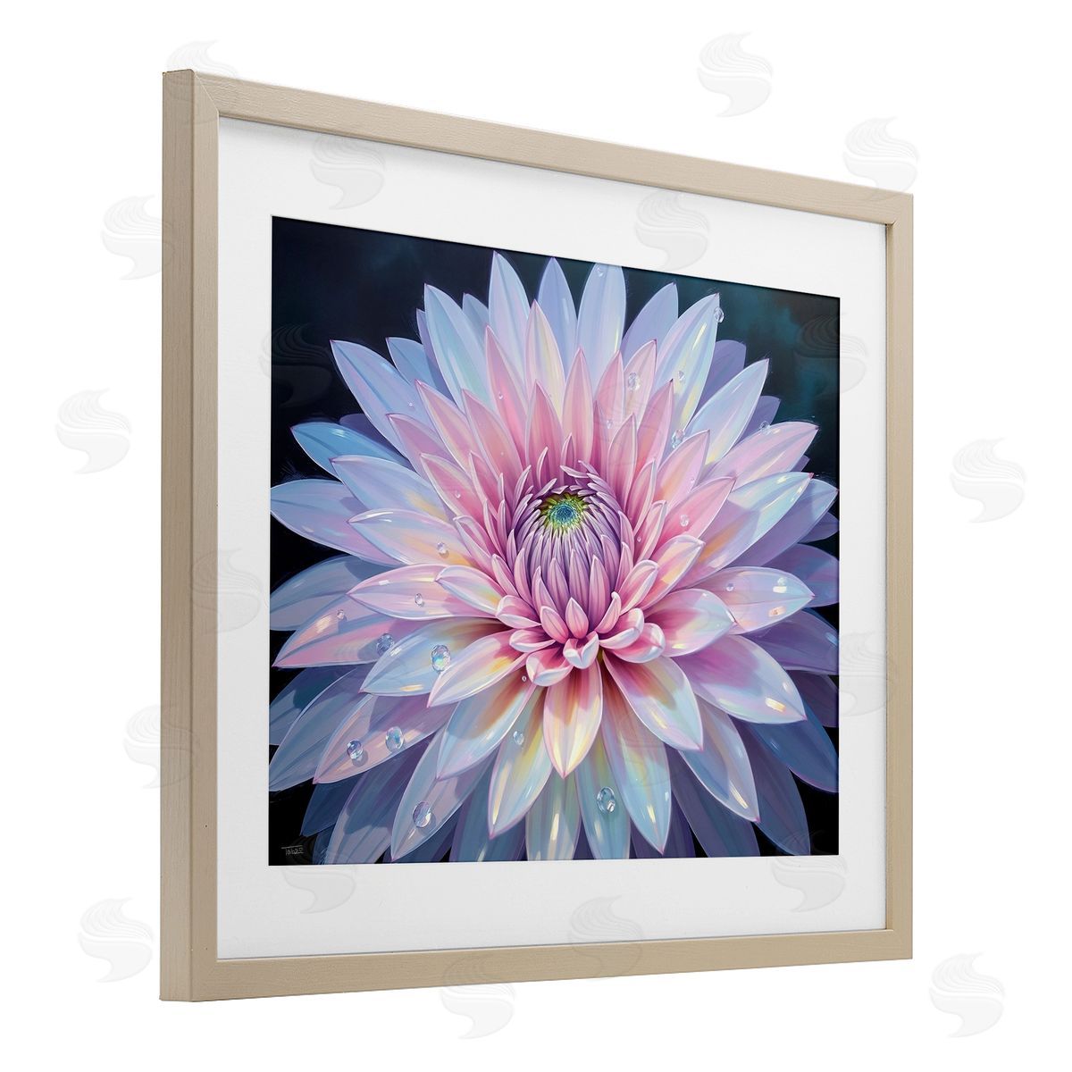 Tabz Jones Dew Kissed Pink Chrysanthemum Canvas Wall Art Print