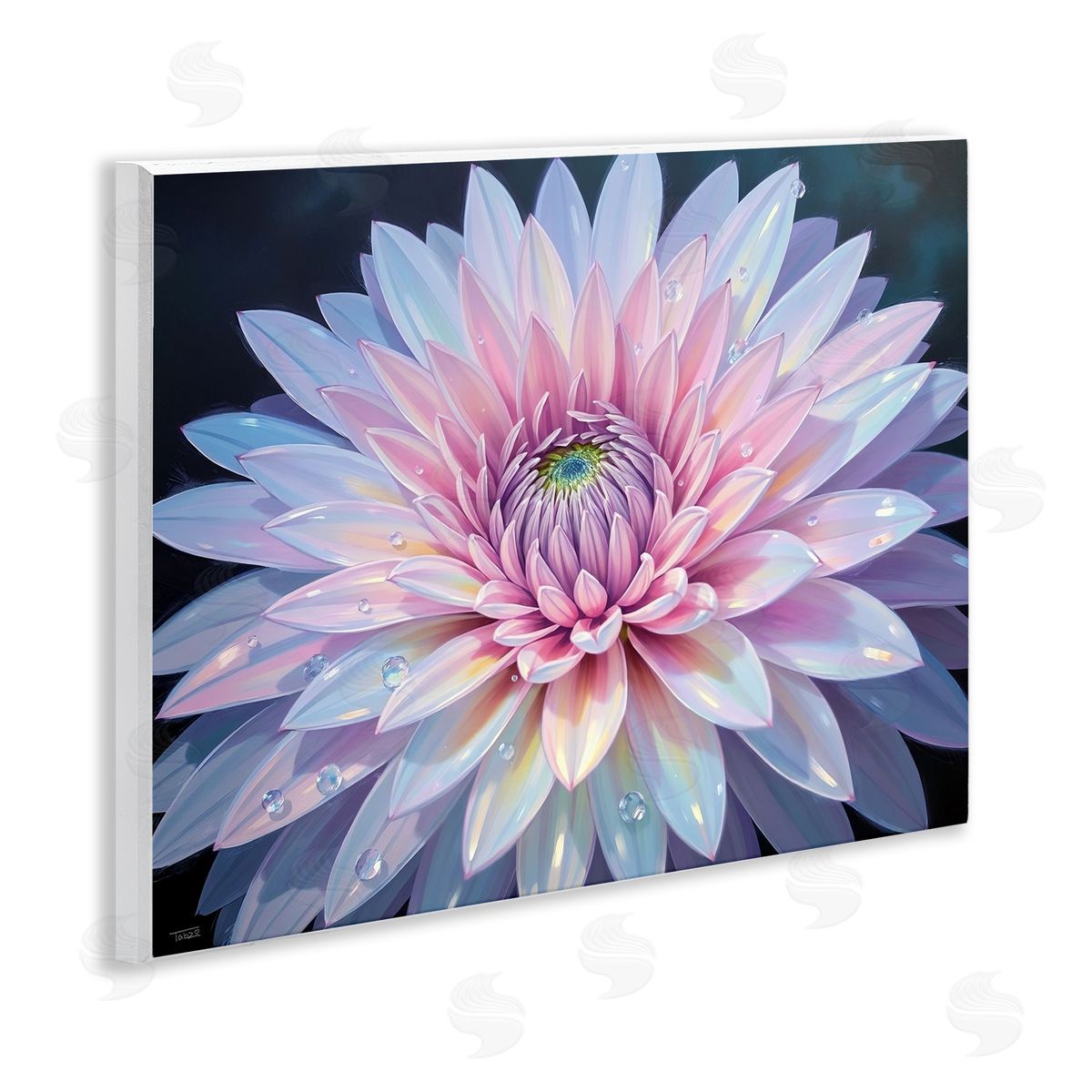 Tabz Jones Dew Kissed Pink Chrysanthemum Canvas Wall Art Print
