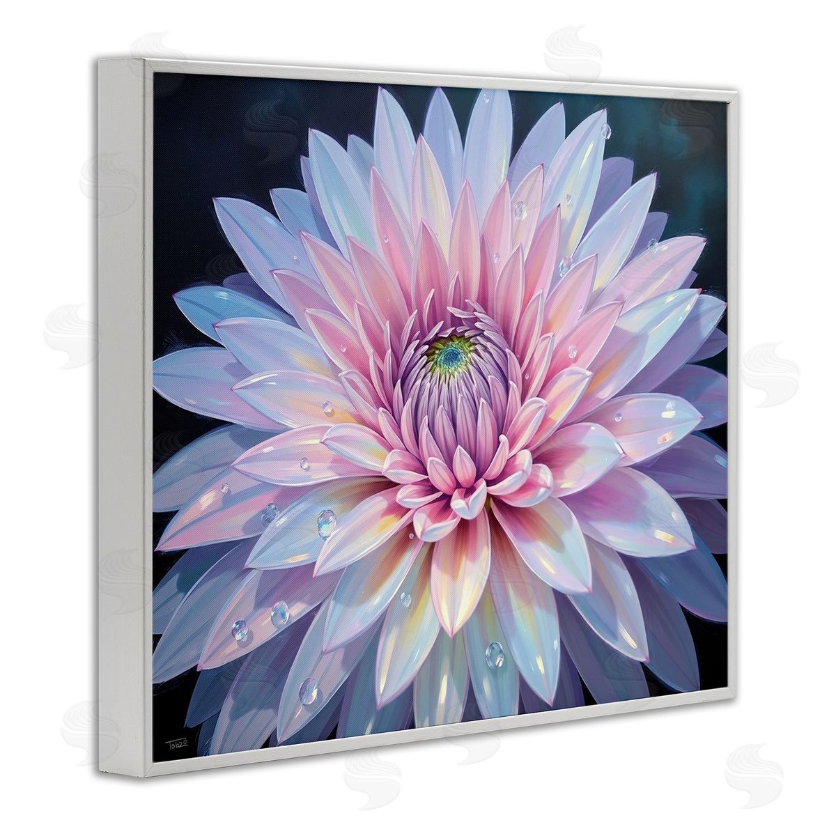 Tabz Jones Dew Kissed Pink Chrysanthemum Canvas Wall Art Print