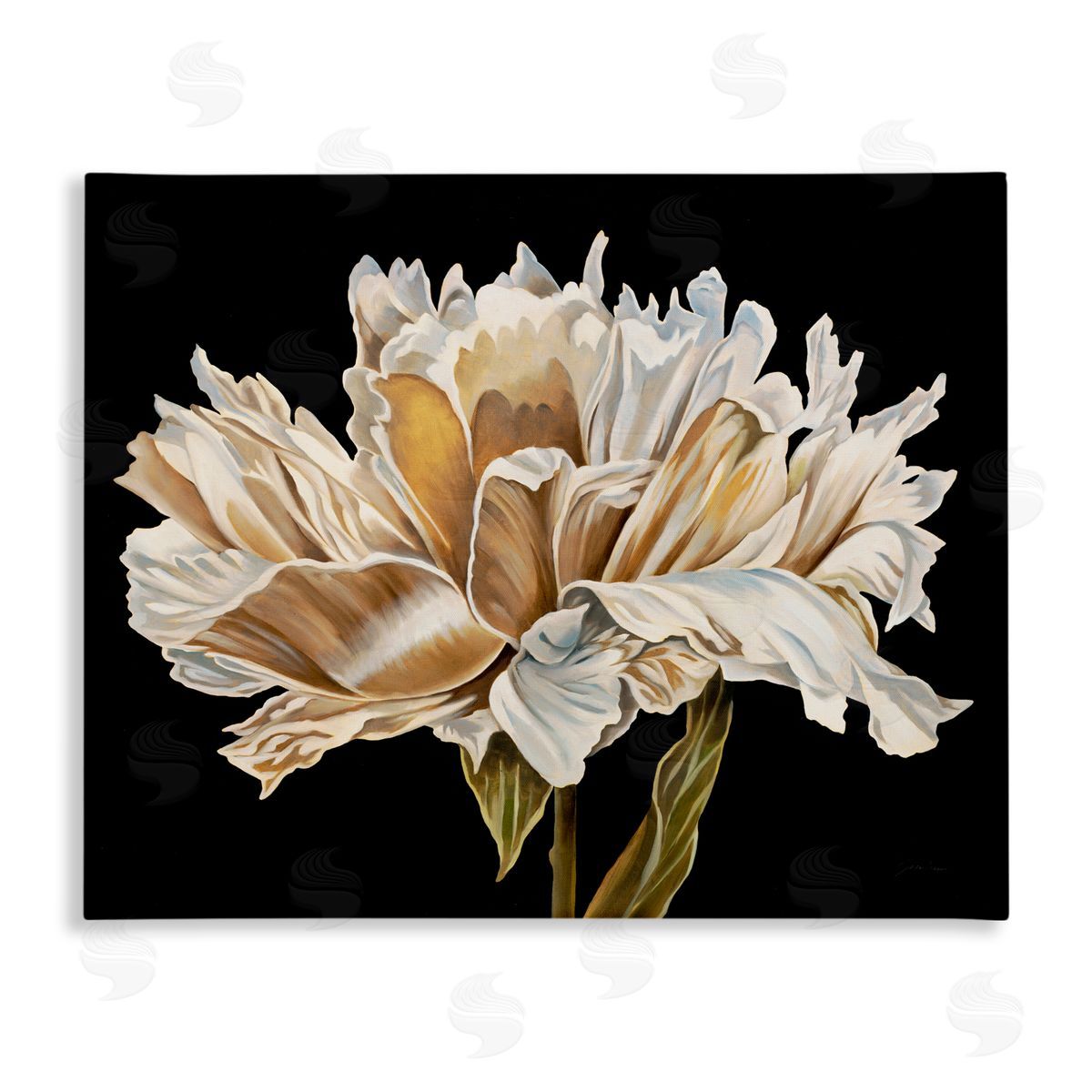 Liz Jardine Vintage Petals over Black Canvas Wall Art Print